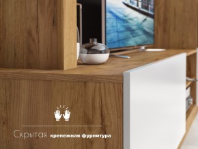 Гостиная Флекс в Магнитогорске - magnitogorsk.mebel74.com | фото 4