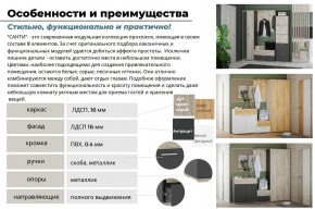 Прихожая Санти Белый/Дуб Крафт Золотой в Магнитогорске - magnitogorsk.mebel74.com | фото 3