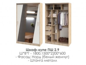 шкаф-купе ПШ-2.9 1500 Норд Белый жемчуг 1500 в Магнитогорске - magnitogorsk.mebel74.com | фото